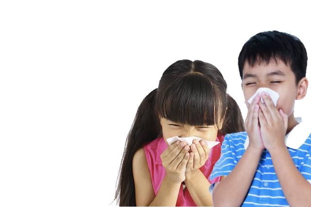 免疫 舌 下 花粉 療法 症 舌下免疫療法 アレルギー性鼻炎（花粉症）の新しい治療法！｜南馬込おかばやし耳鼻咽喉科